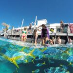 1 cairns outer great barrier reef pontoon with activities Cairns: Outer Great Barrier Reef Pontoon With Activities