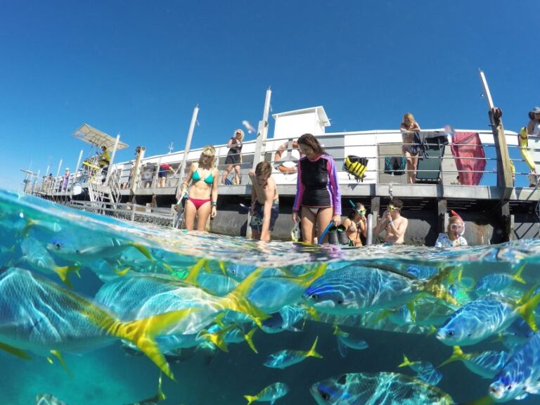 Cairns: Outer Great Barrier Reef Pontoon With Activities