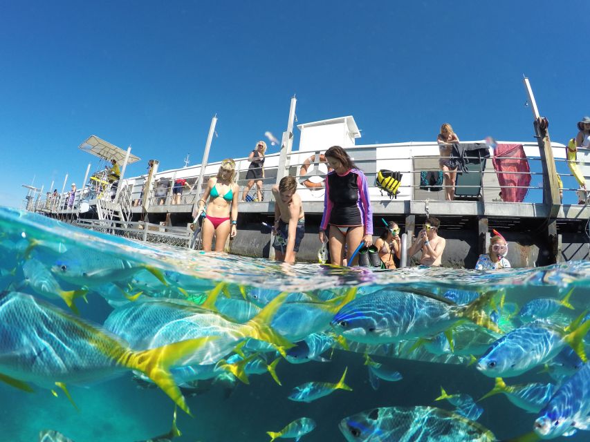 1 cairns outer great barrier reef pontoon with activities Cairns: Outer Great Barrier Reef Pontoon With Activities