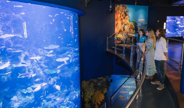 Cairns: Pre-Opening Guided Tour of the Cairns Aquarium