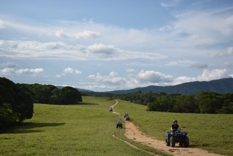 Cairns: Skyrail, Quad Biking, Zoo, and Kuranda Half-Day