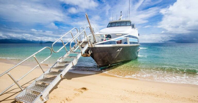 Cairns: Snorkel & Dive a Secluded Great Barrier Reef Island