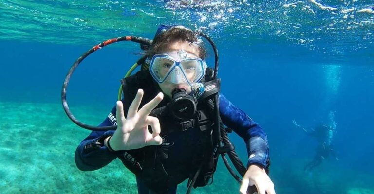 Calvi: Introduction to Diving Dive With an Instructor