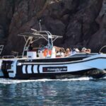 1 calvi to scandola 4 hour boat tour Calvi to Scandola: 4-Hour Boat Tour