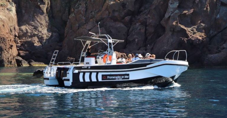 Calvi to Scandola: 4-Hour Boat Tour