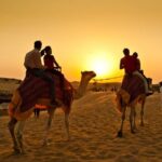 1 camel ride dubai Camel Ride Dubai