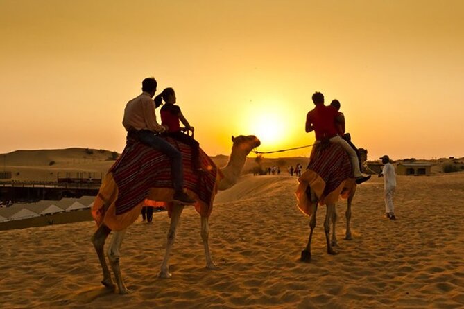 Camel Ride Dubai