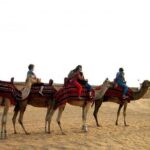 1 camel riding in dubai desert Camel Riding In Dubai Desert
