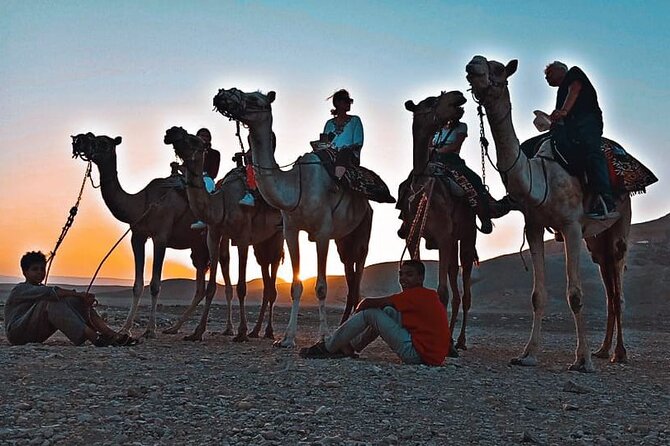 1 camel riding tour in luxor west bank Camel Riding Tour in Luxor West Bank