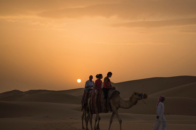 Camel Trekking in Open Red Dunes Desert