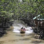1 can gio mangrove biosphere reserve 1 day Can Gio Mangrove Biosphere Reserve 1 Day