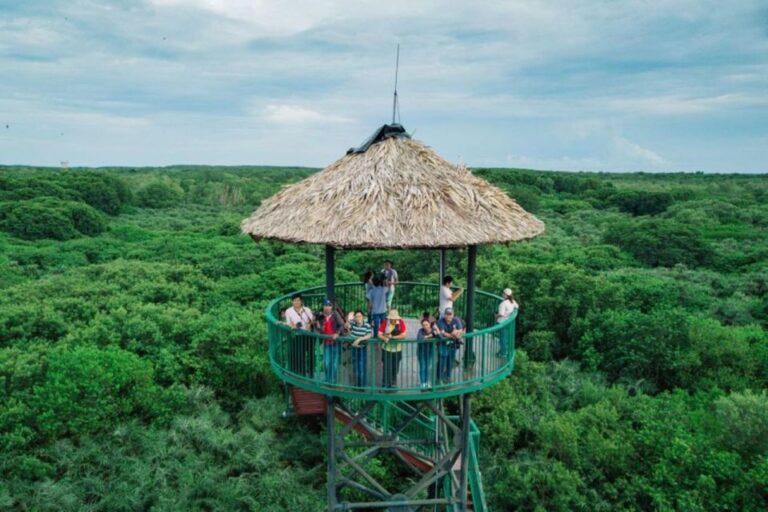 Can Gio Mangrove Biosphere Reserve 1 Day Tour