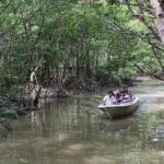 1 can gio mangrove eco tour 1 day private Can Gio Mangrove Eco Tour 1 Day Private
