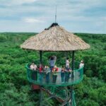 1 can gio mangrove forest biosphere private tour ho chi minh city Can Gio Mangrove Forest Biosphere Private Tour - Ho Chi Minh City