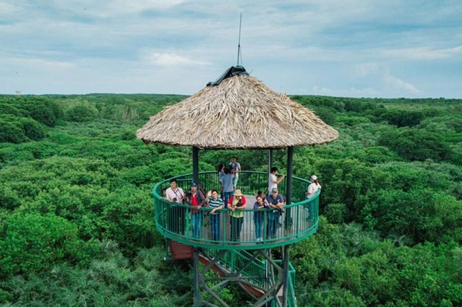 Can Gio Mangrove Forest Biosphere Private Tour  – Ho Chi Minh City