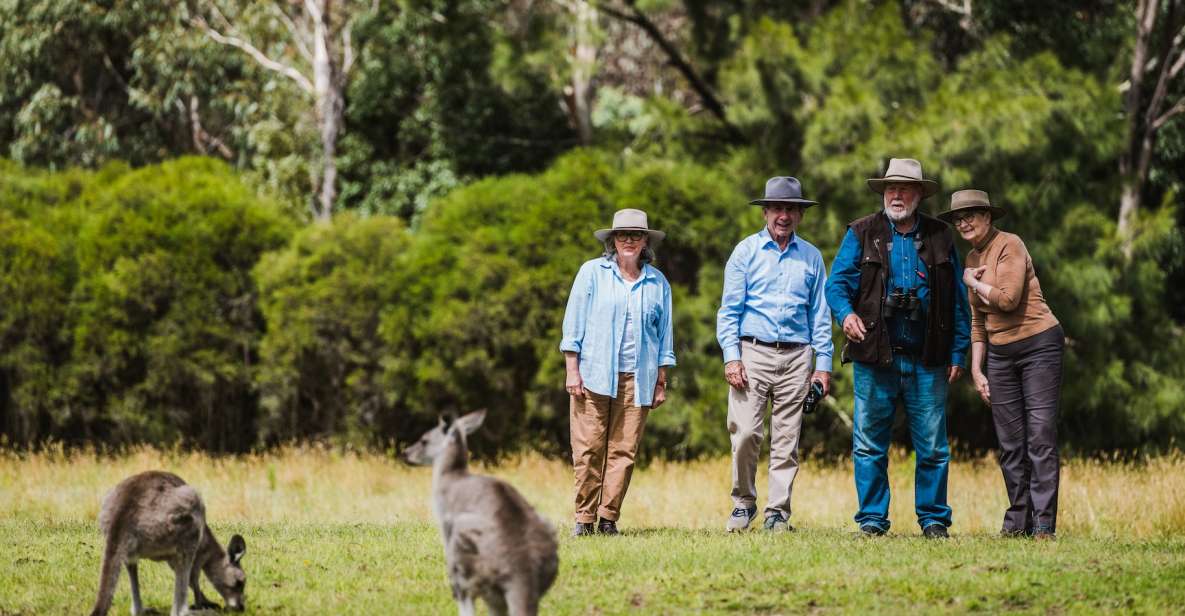 1 canberra best of wildlife tour Canberra: Best of Wildlife Tour