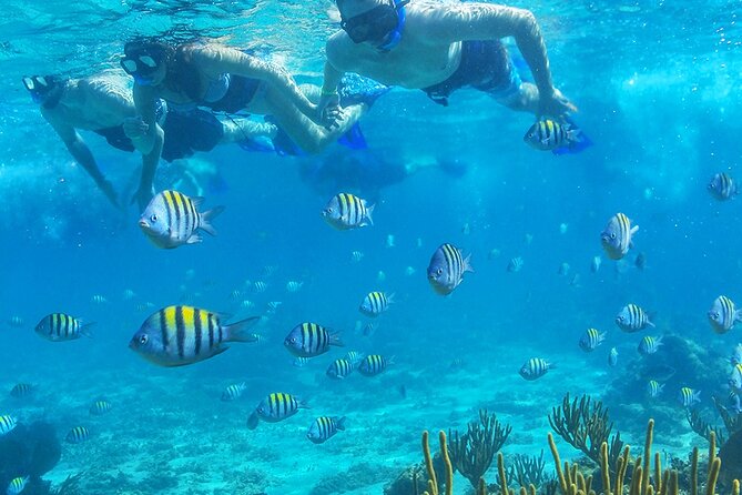 Cancun Luxury Sailing & Snorkeling With Lunch and Open Bar Onboard
