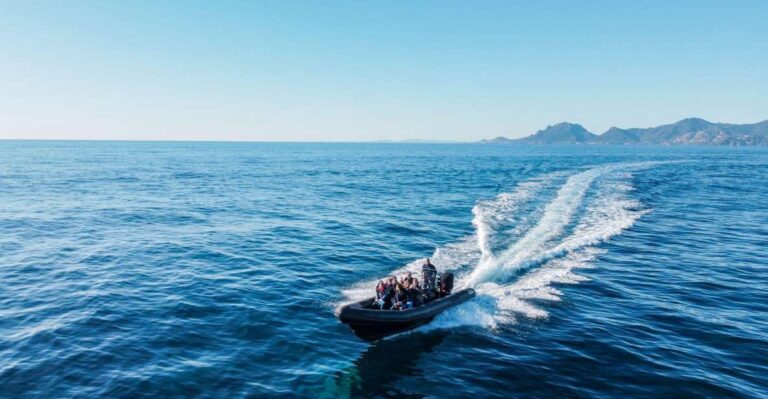 Cannes: Scenic Coves RIB Boat Tour