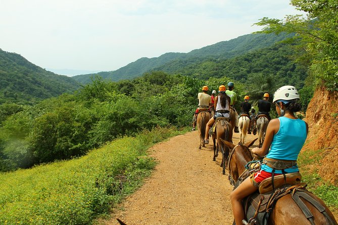 Canopy River Zipline Tour and Mule Ride
