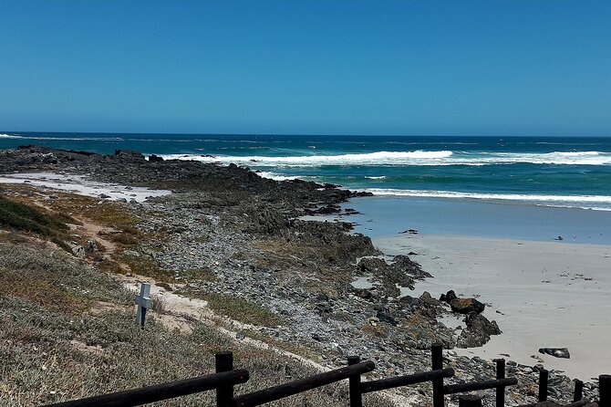 Cape Agulhas Full Day Private Tour