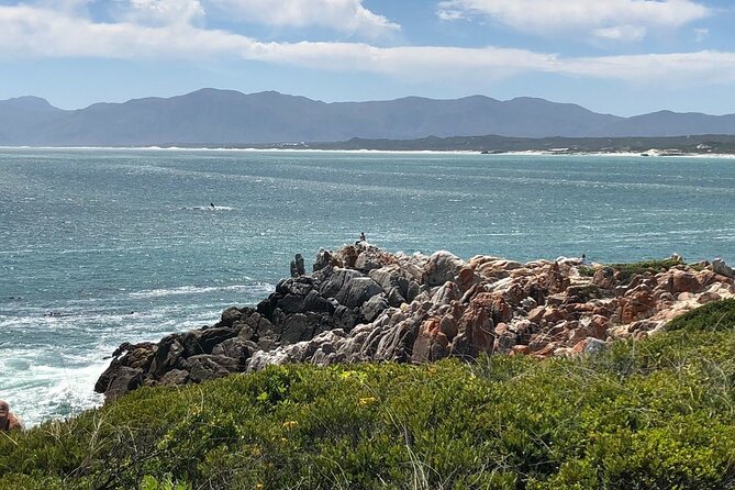 Cape Agulhas Full Day Private Tour