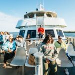 1 cape may cape may island sunset cruise dolphin watching Cape May: Cape May Island Sunset Cruise & Dolphin Watching