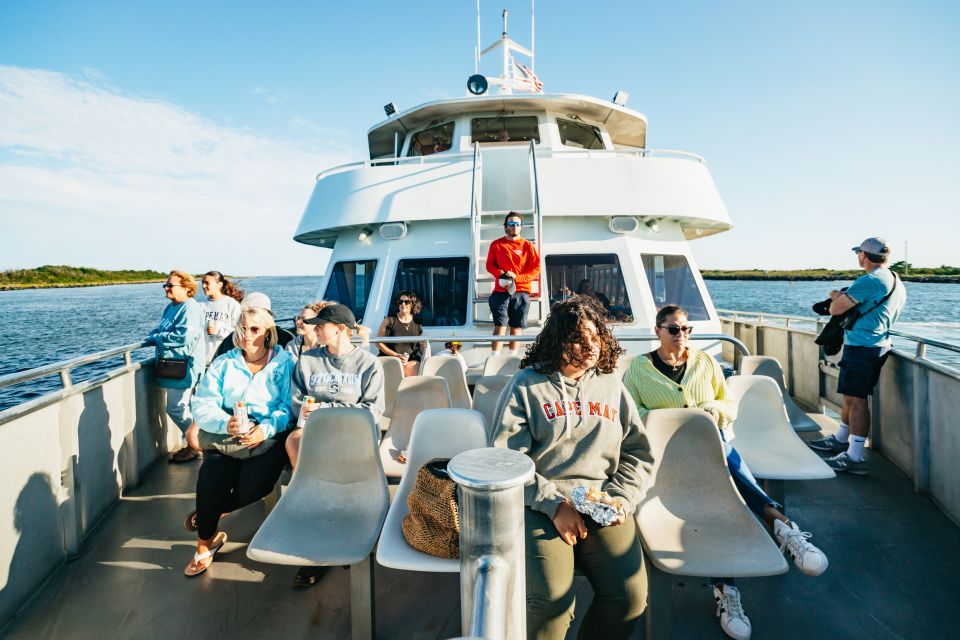 1 cape may cape may island sunset cruise dolphin watching Cape May: Cape May Island Sunset Cruise & Dolphin Watching