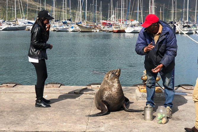 Cape of Good Hope-Penguin-Private Tour Combined With Wine Tasting Full Day Tour