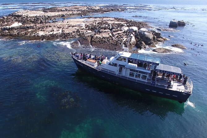 Cape of Good Hope & Penguins From Cape Town Full-Day Private Tour