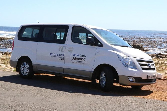 Cape Peninsula – Custom-made Private Day Tour ( Max of 3 Persons)