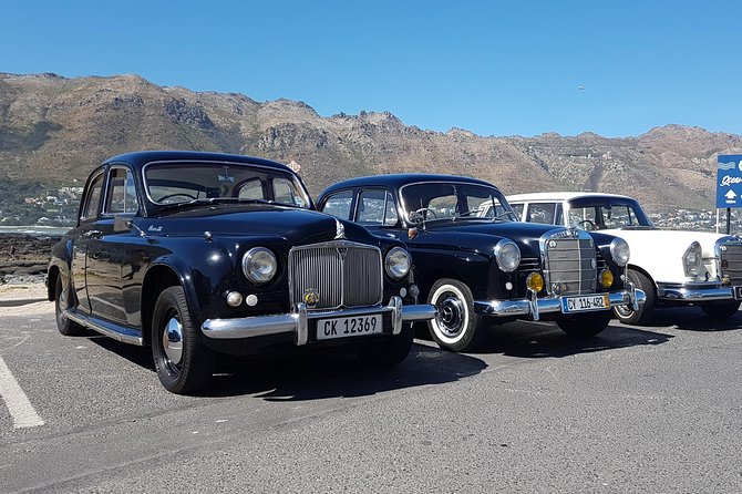 1 cape peninsula in a vintage car penguins cape point chapmans peak drive Cape Peninsula in a Vintage Car (Penguins, Cape Point & Chapmans Peak Drive)