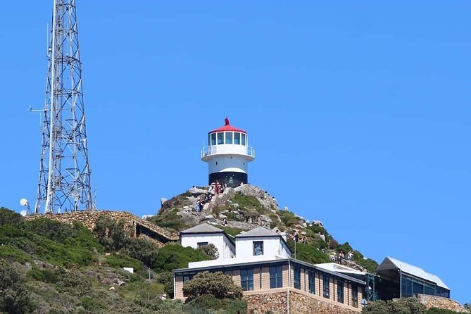 Cape Point & Penguin Explorer Tour