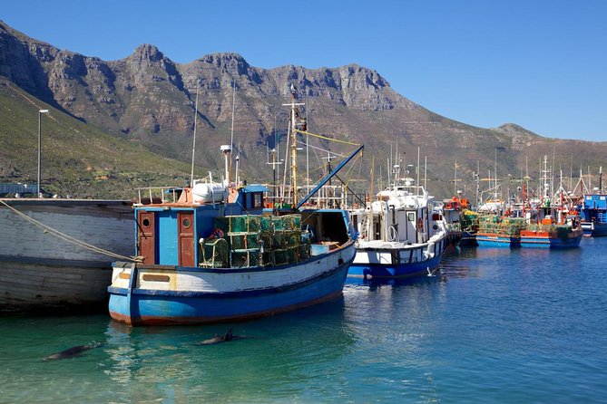 Cape Point Sightseeing Tour Including Cape of Good Hope Full Day From Cape Town