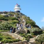 1 cape point sightseeing tour including penguins at boulders beach from cape town Cape Point Sightseeing Tour Including Penguins at Boulders Beach From Cape Town