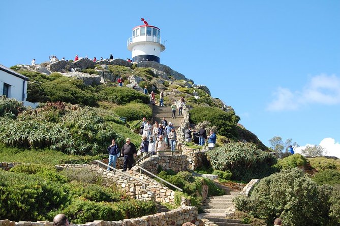 Cape Point Sightseeing Tour Including Penguins at Boulders Beach From Cape Town