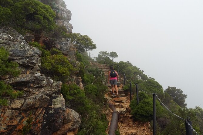 Cape Town: Pipetrack Hike for the Whole Family on Table Mountain