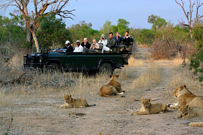 Cape Town – The Best of Aquila Safari Tour