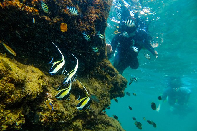 Cape Vidal Snorkeling Adventure