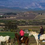 1 cape winelands tour from cape town private tour Cape Winelands Tour From Cape Town (Private Tour)