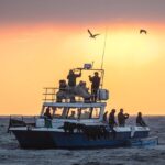 1 capetown african shark eco charters shark cage diving experience CapeTown: African Shark Eco-Charters Shark Cage Diving Experience
