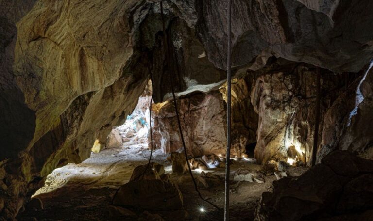 Capricorn Caves, Australia: 45-Minute Cathedral Cave Tour