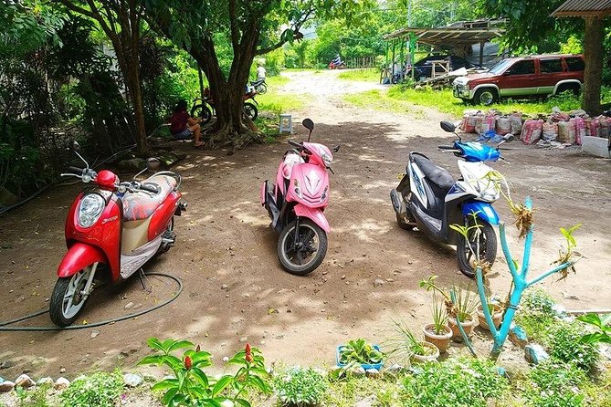 Cebu: Transport – Car-Van-Motorbike-Boat