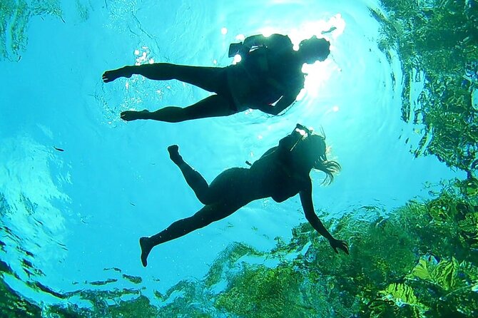 Cenotes Private Tour VIP
