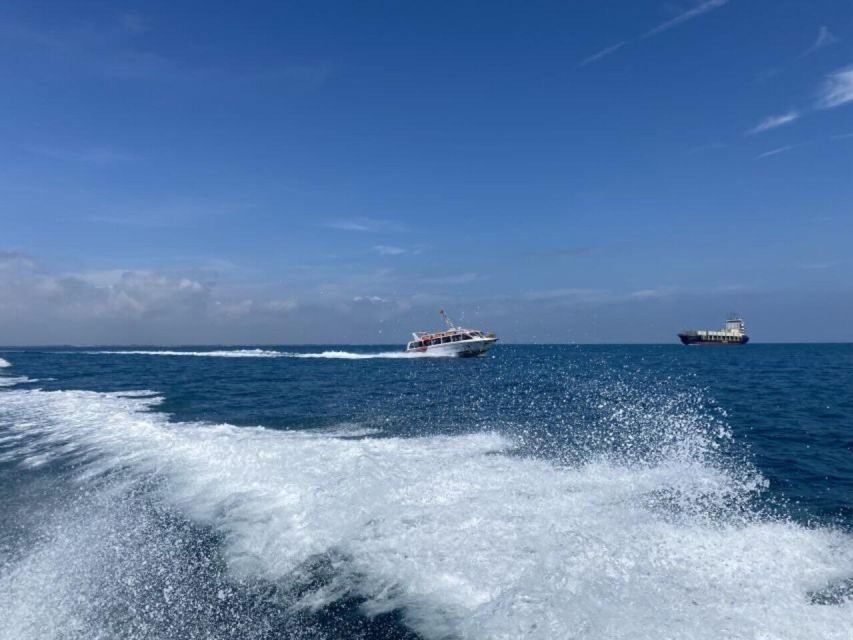 Cham Islands Snorkeling Tour by Speedboat : Hoi An / Da Nang