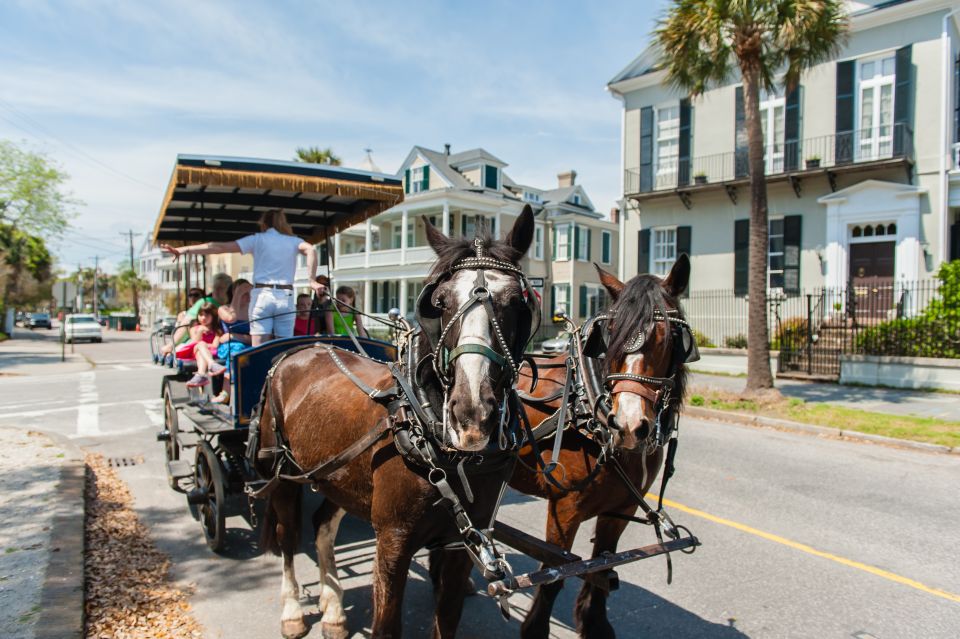 1 charleston 1 hour carriage tour of the historic district Charleston: 1-Hour Carriage Tour of the Historic District