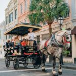 1 charleston historical downtown tour by horse drawn carriage Charleston: Historical Downtown Tour by Horse-drawn Carriage