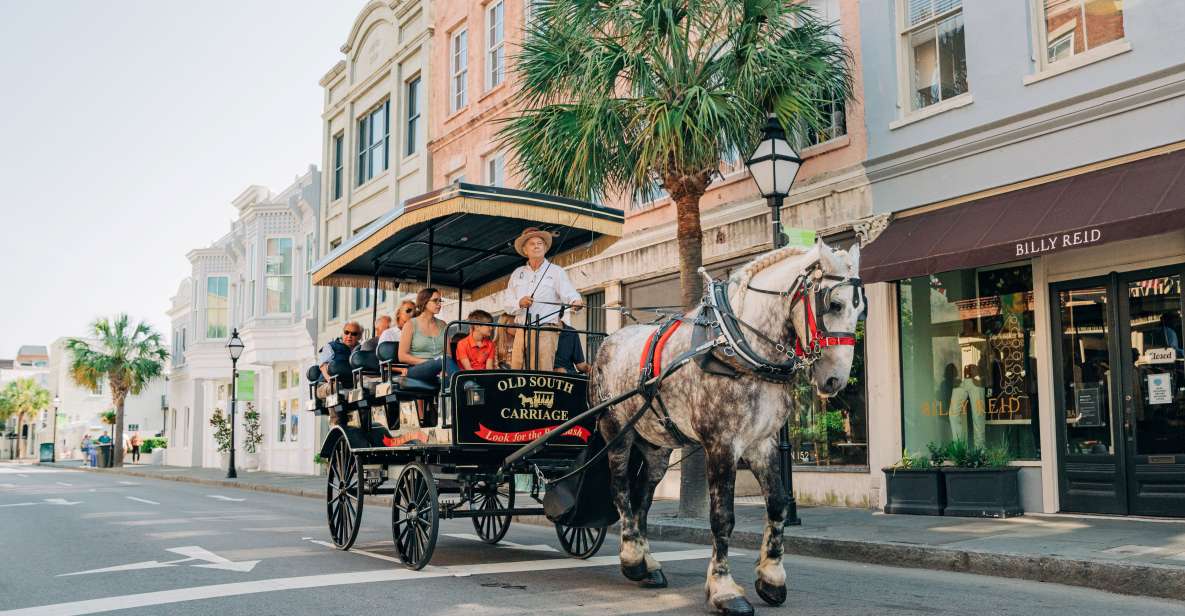 1 charleston historical downtown tour by horse drawn carriage Charleston: Historical Downtown Tour by Horse-drawn Carriage