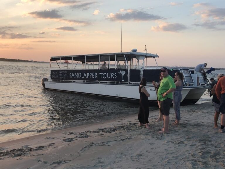 Charleston: Morris Island Nature Boat Tour With Naturalist