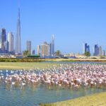 1 charming dubai city tour with the view at the palm scenic tourist attraction Charming Dubai City Tour With the View at the Palm - Scenic Tourist Attraction