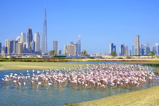 1 charming dubai city tour with the view at the palm scenic tourist attraction Charming Dubai City Tour With the View at the Palm - Scenic Tourist Attraction